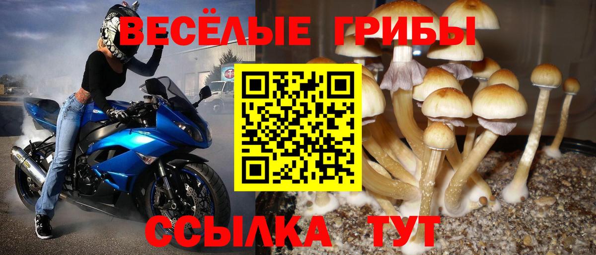 Псилоцибиновые грибы мицелий Куйбышев