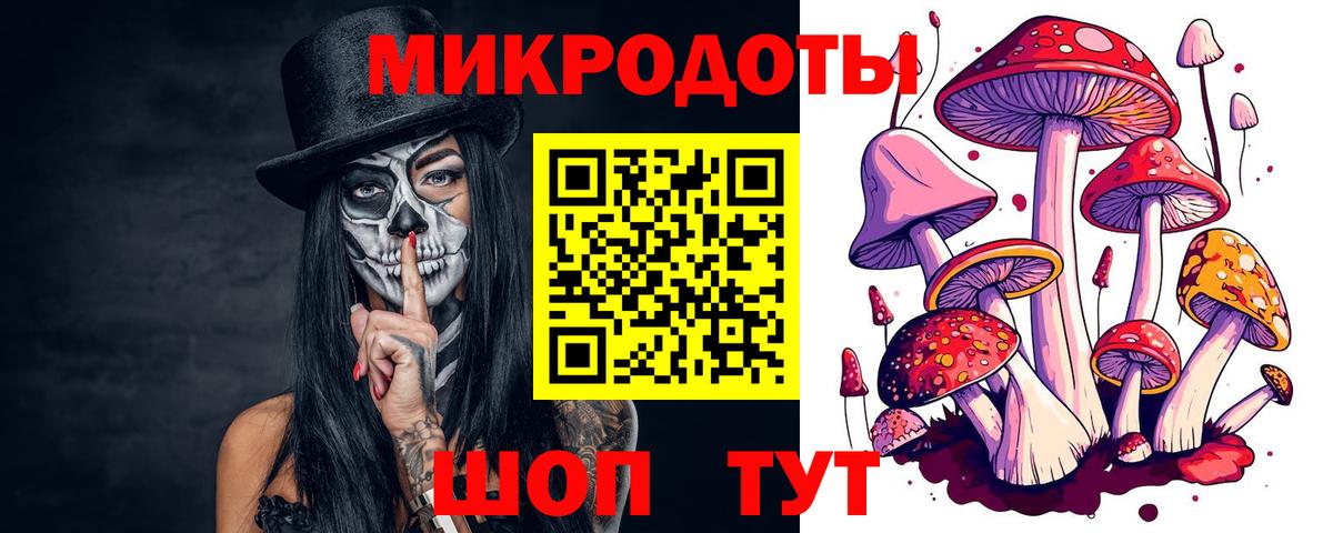 Псилоцибиновые грибы Cubensis  Псилоцибиновые грибы GOLDEN TEACHER  Куйбышев  Вход с VPN 